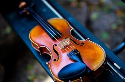 Violin/Viola Lessons for Beginners